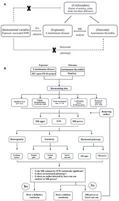 The association of common autoimmune diseases with autoimmune thyroiditis: a two-sample Mendelian randomization study